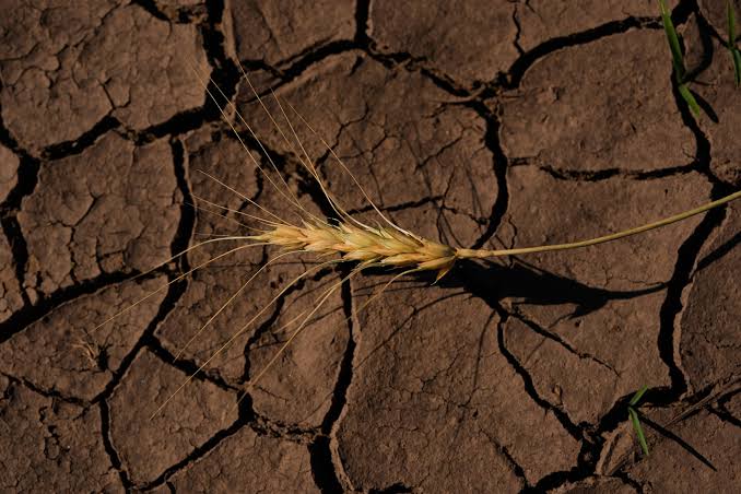 El Nino powers up as forecasters predict historic strength and a rainier  winter for the US South | YourBigSky.com