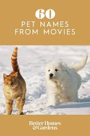 Naming Your Cat Or Dog Can Be Challenging Luckily We Re Here To Help These 60 Popular Pet Names From Movies Are Perfect Cute Pet Names Pet Names Dog Movies