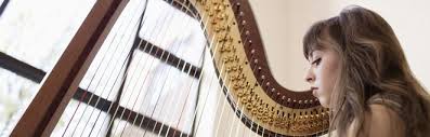 It is well made, attractive and best of all plays at the top of the line. Harp Instruments Discover Music Classic Fm