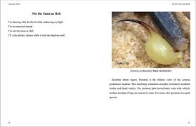 Interviews | Sumiko Saulson