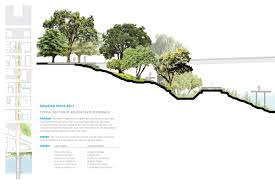 Pin On Illustration Landscape Architecture