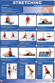 Stretching Chart Lower Body 10 95 Fitness Exchange