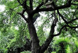 Thousands of companies like you use bill of lading. Der Besondere Garten Der Familie Tonjes Aus Nordenham