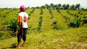 Kepercayaan kepada kuasa ghaib menunjukkan bahawa kepentingan spiritual dalam kehidupan seharian mereka. Kpa Ruu Cipta Kerja Ancam Reforma Agraria Mongabay Co Id