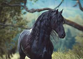 Coloriage cheval en couleur dessin gratuit a imprimer. A1 Frison Etalon Noir Beaute Equine Imprimer 60 X 90cm 180gsm Cheval Wall Art 16227 Amazon Fr Cuisine Maison