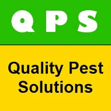 The endurance international group inc (massachusetts, burlington) is the location of the nginx server. Quality Pest Solutions Pest Control 1334 Ridge Rd Ontario Ny Phone Number