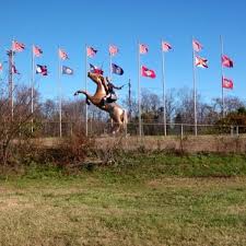 On the northbound side of. Nathan Bedford Forrest Statue 9 Tips