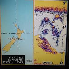 Master the technique on how to read a fishfinder is essential if you are into fishing. Viking Kayaks Nz Understanding Your Fishfinder Q A With Stephen Tapp