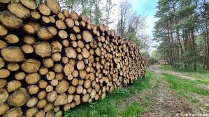 Located in valdosta, georgia, we service south georgia and north florida. Demand For Lumber Soars In Germany And So Do Prices Business Economy And Finance News From A German Perspective Dw 17 05 2021