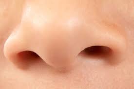 Nasal septal deformities in ear nose and throat patients: Artificial Nose Developed In Finland Can Detect Cancer Cells