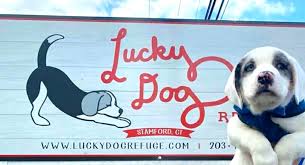 3 outings per day, continuous fresh water, breakfast & dinner service, premium bedding, maid & linen service, soothing music and. Lucky Dog Refuge Ct Home Facebook