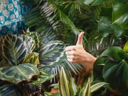 You can do this by positioning the fan on the opposite side of the room to your window. Five Ways To Stay Cool Without Blasting The Ac