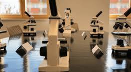 What is a 3D digital microscope?