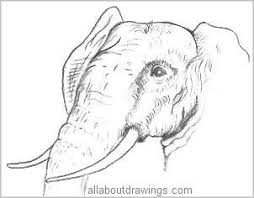 Pin By Heather Thompson On Animals Animal Drawings Pencil Drawings Elephant Drawing