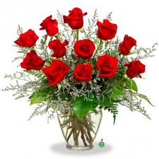 Maybe you would like to learn more about one of these? Olivera Flowers Flower Wholesale And Supplier