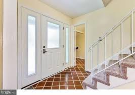 Image result for Ursinia montana