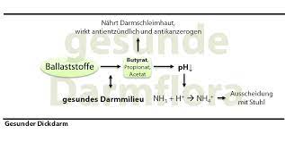Unter kälteeinwirkung nach kurzer zeit tropfende nase oder trändende augen farbloser stuhl nach 6 bis 24 stunde nach übermäßigem früchtekonsum Darm Und Lebensmittel Unvertraglichkeiten Fortsetzung Dr Jacobs Weg
