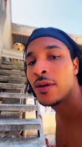 Ela quer ir pra rua e deixar os filhotes? Responda aí, nos comentários!  #cachorro #filhote