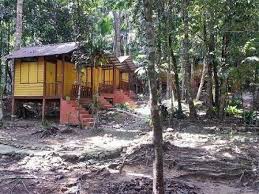 Taman negara team building provide the adventurers with a challenging platform to develop their character and leadership while breaking their physical. Endau Rompin Selai National Park Chalet Leisure Package 3days 2nights Malaysia Adventoro
