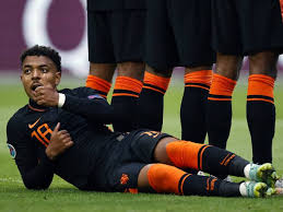 Wij zochten voor je uit wanneer het nederlands elftal speelt zodat je niets van de oranjegekte hoeft te missen. Evjpm7cwphluim