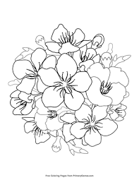 Hundreds of free spring coloring pages that will keep children busy for hours. Cherry Blossoms Coloring Page Free Printable Pdf From Primarygames