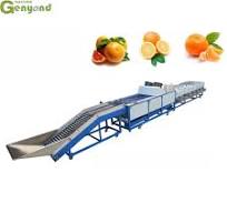 Sorting Machine/dehydrated Vegetable Color Sorter/optical Sorting Machine