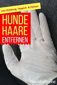 Pagesbusinesseslocal servicepet servicedog trainerdogscouchvideoshundehaare erfolgreich entfernen 😄🐕. Tierhaare Entfernen 8 Tipps Fur Hund Katze Haushaltsfee Org Hundehaare Tipps Katzenhaare Entfernen