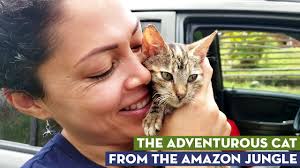 Croqueta: The Adventurous Kitten from the Amazon Jungle