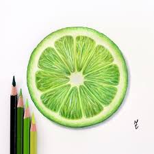 Slice Of Lime Prismacolorpencils Prismacolor Drawing Drawings Draw Coloredpencil Colored Pencil Artwork Color Pencil Art Art Drawings Simple