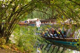 Der botanische garten hat eine fläche von rund 10 ha und befindet sich seit dem jahr 1969 auf der morgenstelle im norden von tübingen. Botanischer Garten Der Universitat Tubingen Tuebingen Info De
