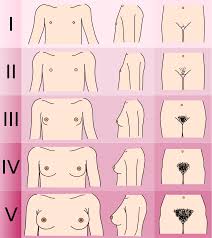 شعر العانة - ويكيبيديا