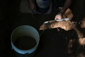 Cemetery for enslaved is restored