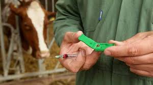 4,204 likes · 813 talking about this · 866 were here. Nieuwe Methode Melkziektepreventie Melkvee Nl Nieuws En Kennis Voor De Melkveehouder