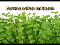 Pin Auf Haus Garten Ideen Tipps Tricks Anleitungen Diy