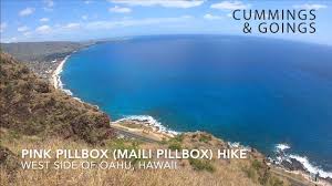 Cabo san lucas fish taco. Best Tacos In Cabo San Lucas Mexico Fish Tacos Tacos Al Pastor Youtube