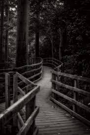 Scary ghost photos, which used to be a rarity, have begun appearing more and more often as people take dozens of … caught on camera. Scary Dark Woods Photograph By Doc Braham