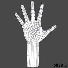 Realistic Female Hand Modeled 3d Model Hand Model 3d Model Model