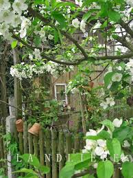 Landliebe Cottage Garden Garten Garten Pflanzen Garten Ideen