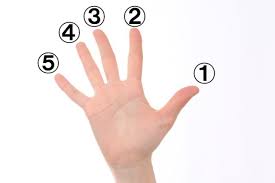 Some fingers have special meaning, while others don't mean anything at all. A Family Of Fingers How To Name Each Finger Of The Hand In Japanese Kokoro Media