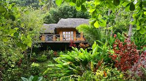 Welcome to your local builder of exclusive, hand crafted, wood play systems. 12 Amazing And Luxurious Treehouses You Ll Actually Want To Sleep In Robb Report