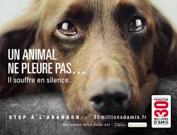 Pour faire la plus belle des rondes. Abandon D Animaux Lettre Ouverte Aux Cons Egoistes