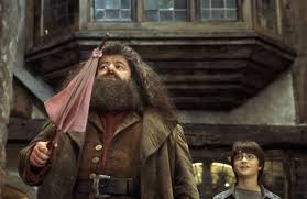 harry and hagrid go to diagon alley album on imgur harry potter characters harry potter movies rubeus hagrid