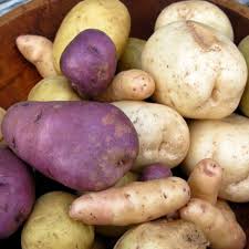 Best 25 potato bin ideas on pinterest How To Grow Potatoes In Containers