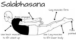 How To Do Salabhasana Locust Pose And Shalabhasana Benefits