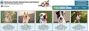 Animal shelters are one of the most important things in our society. Adopt A Pet Maricopa County Az