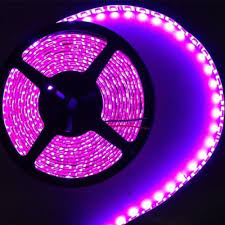 China Led Strip Light Kit For Decoration Blacklight Light Strips China Led Strips Decoration Light Rgb Led Strip Light