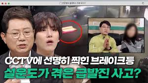 설운도씨 측에서 공개한 급발진 의심사고 순간 브레이크등 - 클리앙