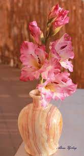Gladiolus Gladiolus Clay Flowers Edible Flowers