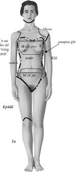 Sep 02, 2015 · baby's cells can manipulate mom's body for decades. Pdf Parts Of The Body In Yelidnye The Papuan Language Of Rossel Island Semantic Scholar