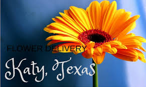 Maybe you would like to learn more about one of these? The 10 Best Options For Flower Delivery In Katy Texas 2021